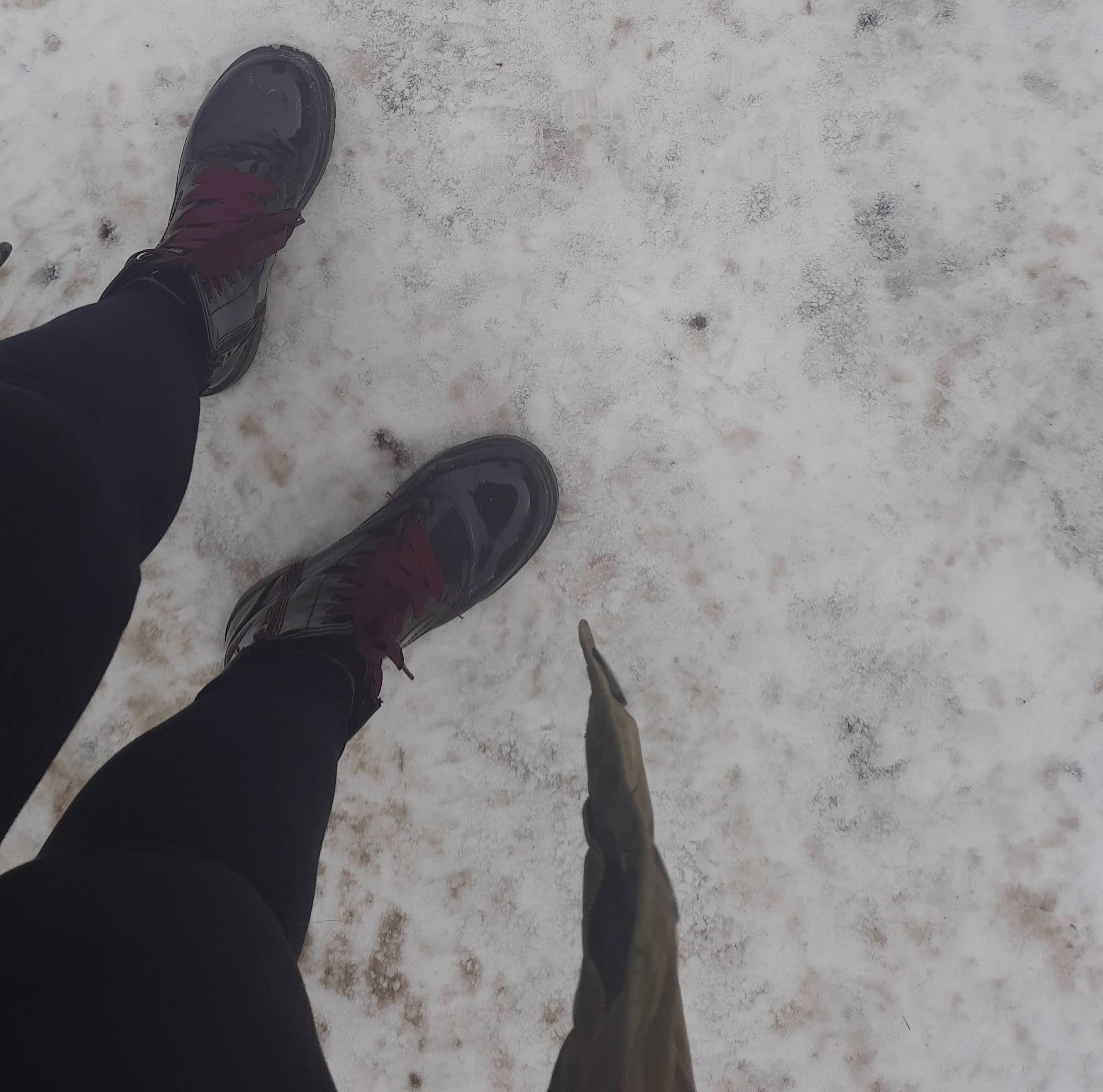 nieve_Nomadic_Insight