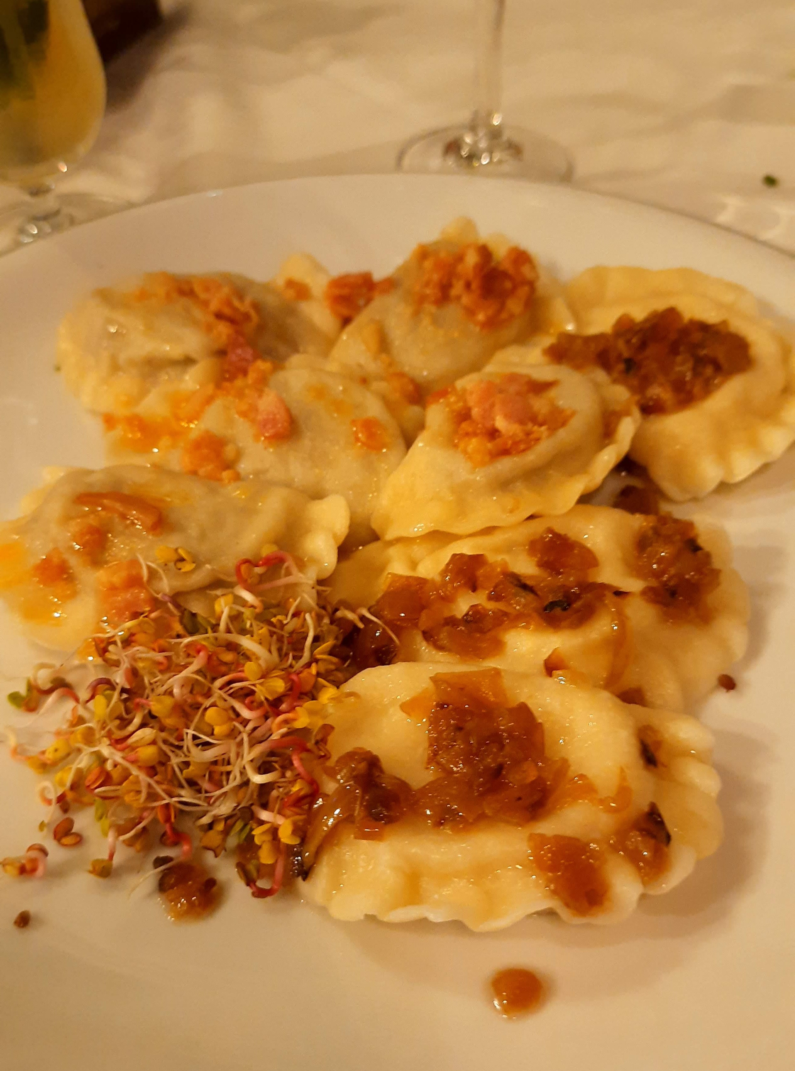 Pierogi_nomadic_inisight